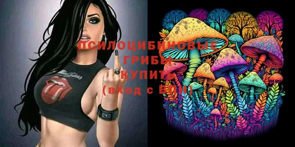 трава Пересвет