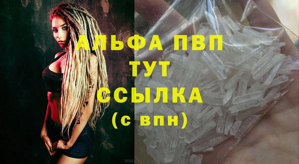 трава Пересвет