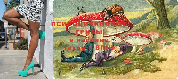 герыч Пестово