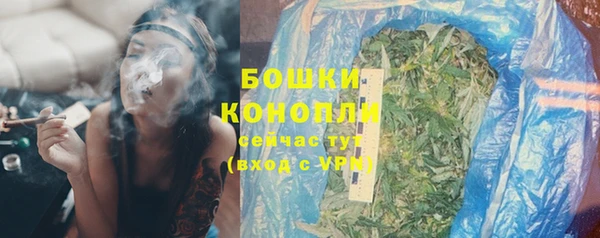 тгк Лиски