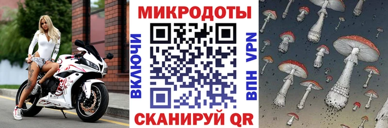 гидра вход  Курчатов  Псилоцибиновые грибы Psilocybe 