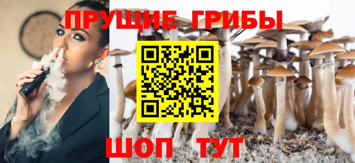 Галлюциногенные грибы GOLDEN TEACHER  где найти   Галлюциногенные грибы GOLDEN TEACHER  Курчатов  Вход с VPN 