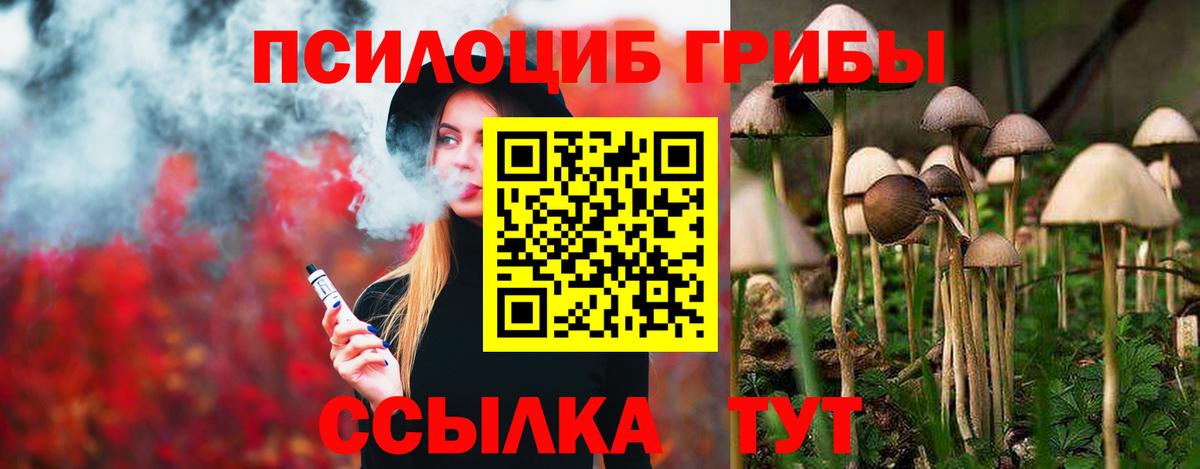 ГАШ Курчатов